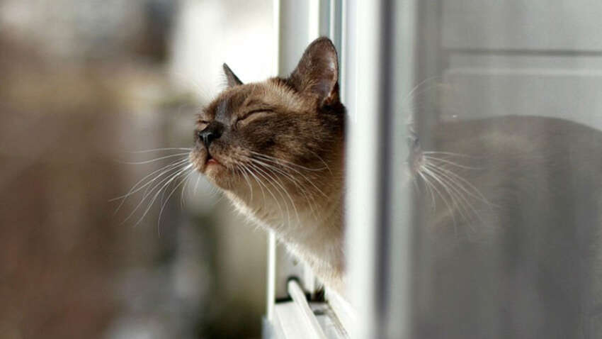 Украину накроет волна тепла: синоптики рассказали, где 11 марта будет до 17