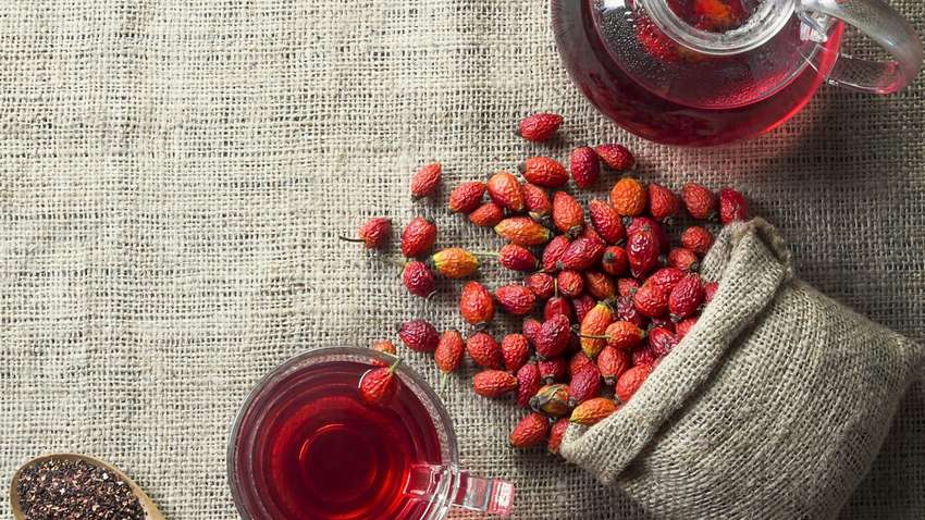 Пять свойств шиповника, о которых надо знать всем Пять свойств шиповника, о которых надо знать всем