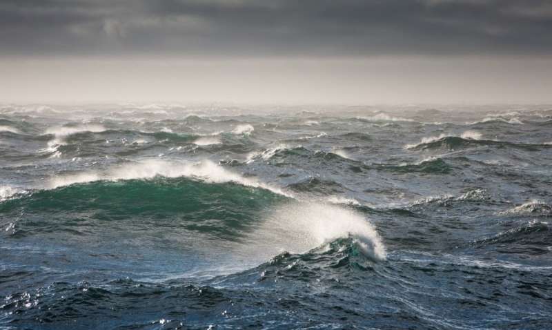 В США мужчина выпал с круизного лайнера: что с ним случилось за 15 часов в открытом океане (ФОТО)