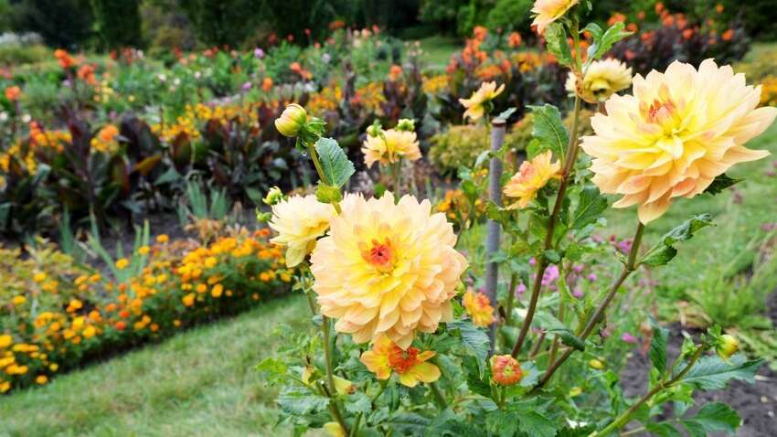 Какой церковный праздник 31 июля: что нельзя делать перед Успенским постом