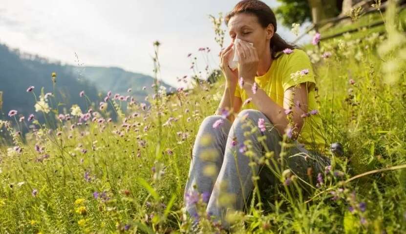 Пилковий календар на 2025 рік: коли алергікам варто бути обережними Пилковий календар на 2025 рік: коли алергікам варто бути обережними