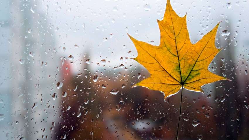 Украину зальет дождями, обнародован прогноз 