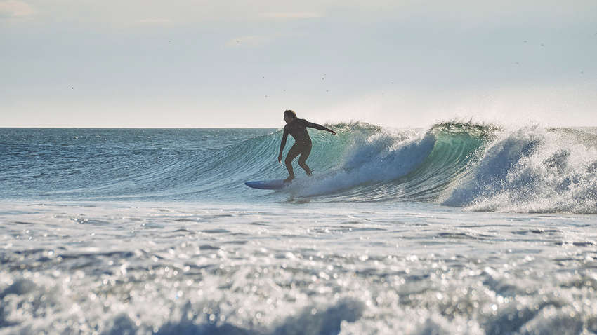 Серфінгіст ледь не зіткнувся з акулою: момент потрапив на відео