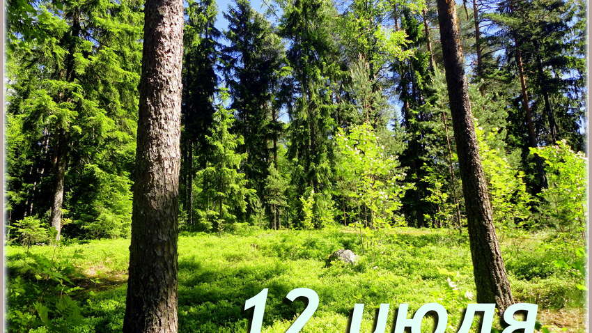 Каким будет 12 июля: ТОП событий сегодняшнего дня