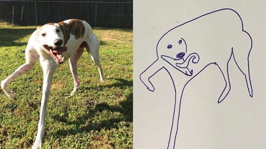 Художница прислала на конкурс рисунков абсолютно нелепый набросок любимого пса, и победила - в чем секрет Художница прислала на конкурс рисунков абсолютно нелепый набросок любимого пса, и победила - в чем секрет