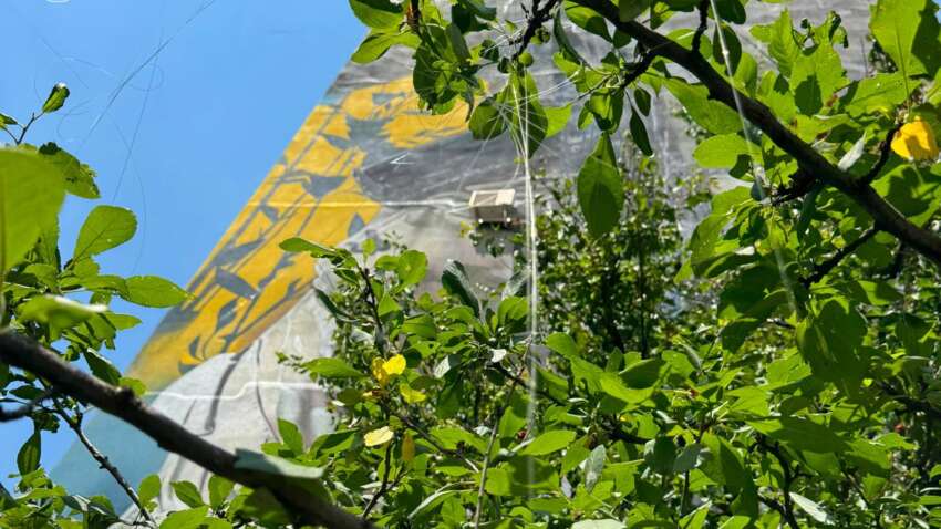 Россия начала атаковать дома в Харькове FPV-дронами на оптоволокне