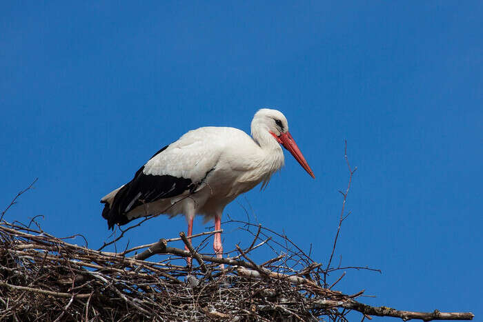 Какой церковный праздник 20 августа: почему его называют днем всех мужчин