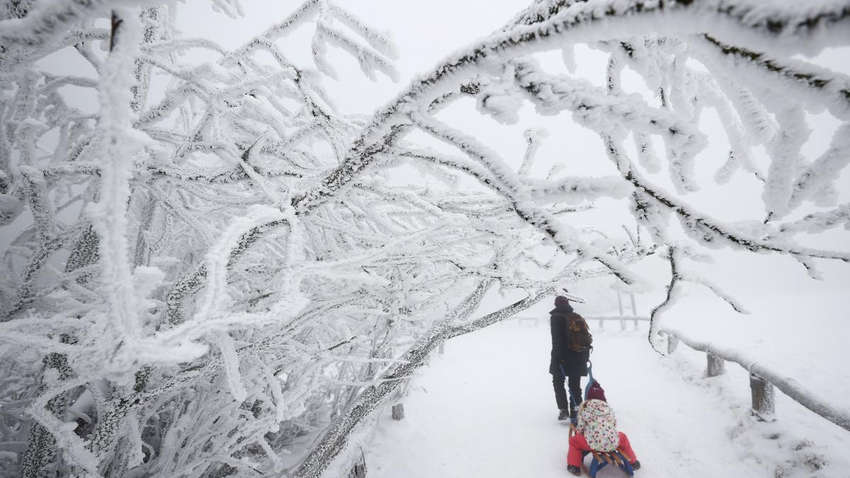 Сувора зима і морози: який прогноз погоди на 2025 рік в Україні Сувора зима і морози: який прогноз погоди на 2025 рік в Україні