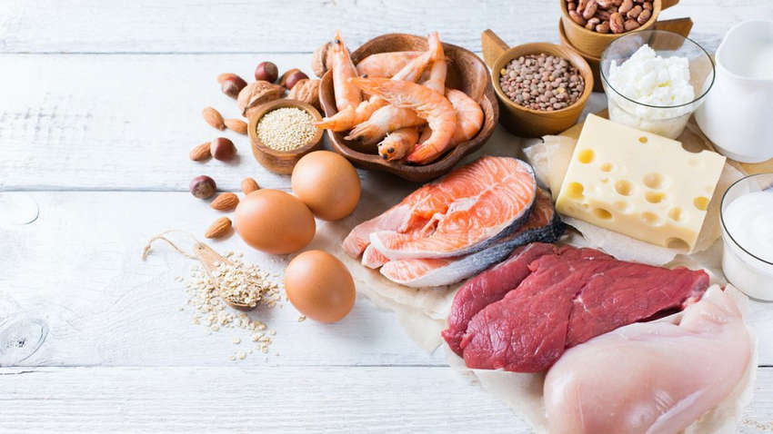 Названы продукты-рекордсмены по содержанию белка