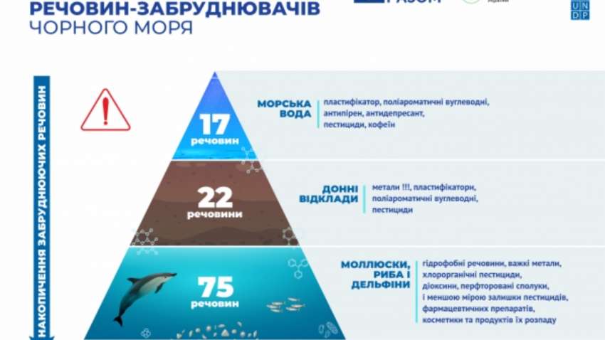 Чем загрязнено Черное море: Министерство защиты окружающей среды