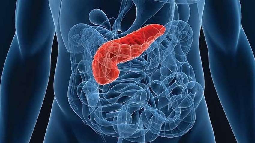 Какая привычка увеличивает риск рака поджелудочной железы