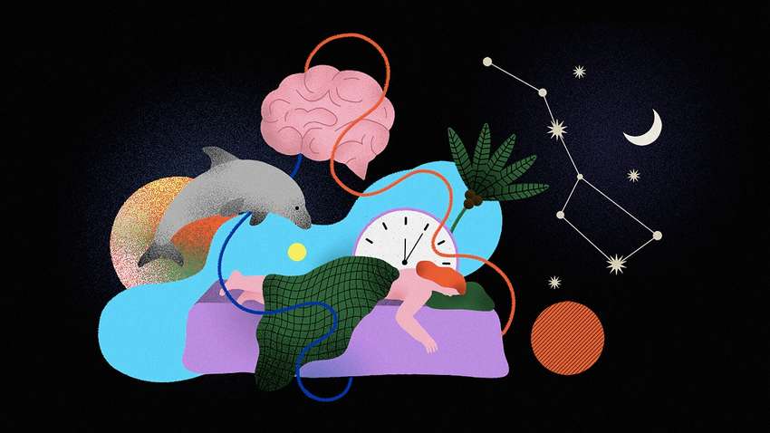 Что категорически нельзя делать перед сном Что категорически нельзя делать перед сном