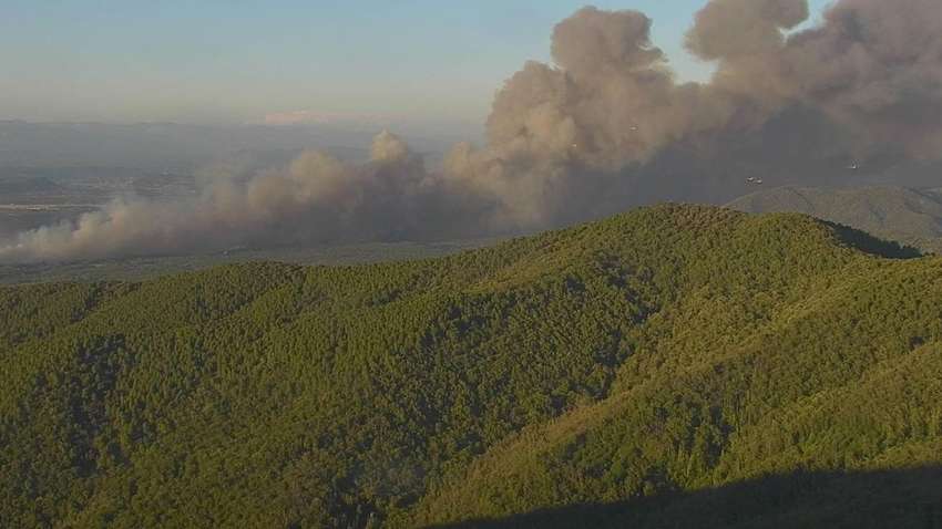 Во Франции вспыхнули леса: что известно о пожаре