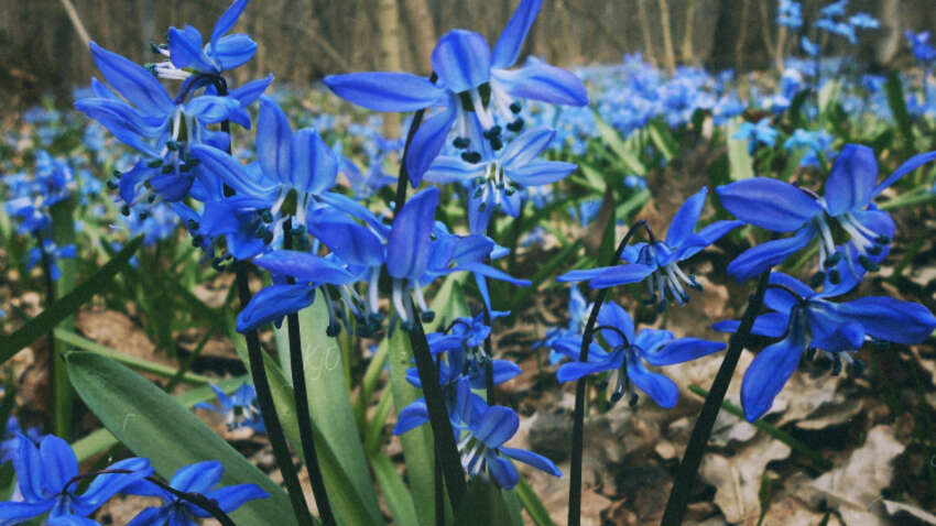 Весна с сюрпризом: Диденко предупредила о тепле, дождях и резком контрасте в регионах Весна с сюрпризом: Диденко предупредила о тепле, дождях и резком контрасте в регионах