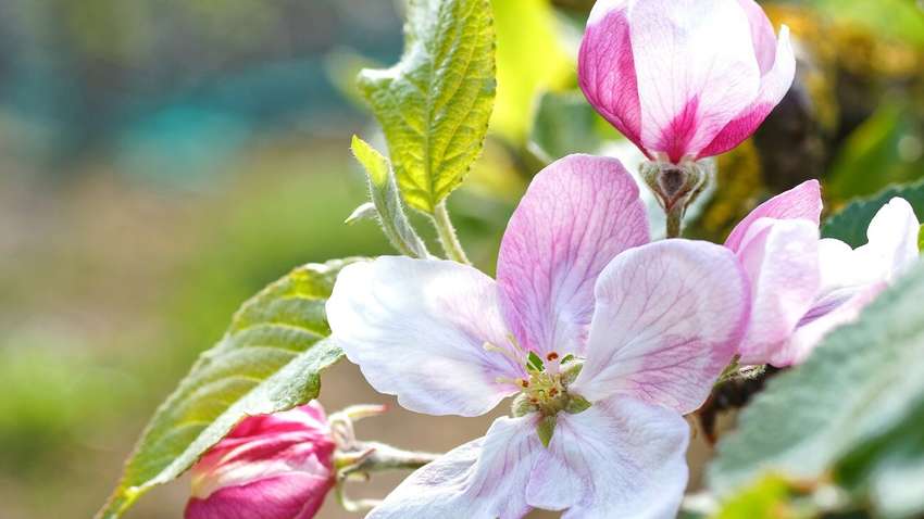 27 травня: як різні країни відзначають цей день у календарі 27 травня: як різні країни відзначають цей день у календарі