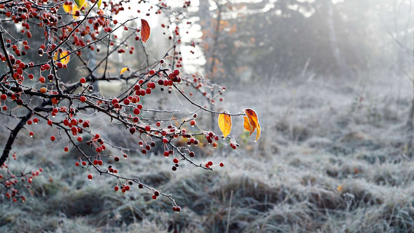 В Україну йде циклон Axel: синоптик розповіла, як зміниться погода В Україну йде циклон Axel: синоптик розповіла, як зміниться погода