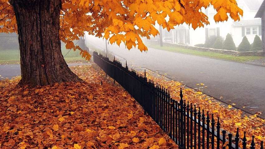 В Украине распогодилось: надолго ли задержится тепло