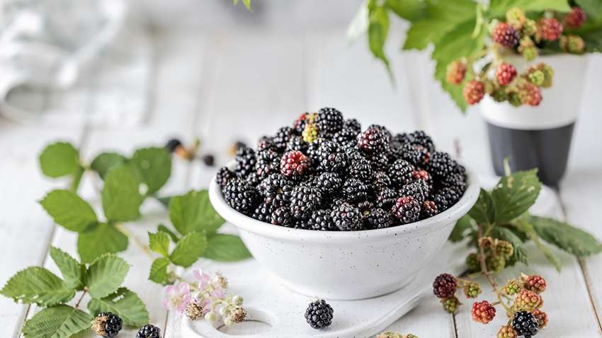 Названі продукти з високим вмістом антиоксидантів Названі продукти з високим вмістом антиоксидантів