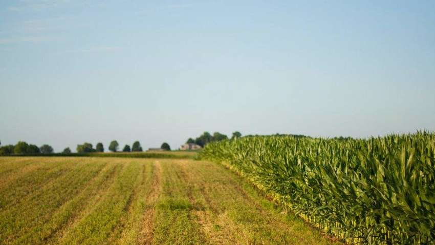 Рынок земли в Украине: что изменит закон №2194