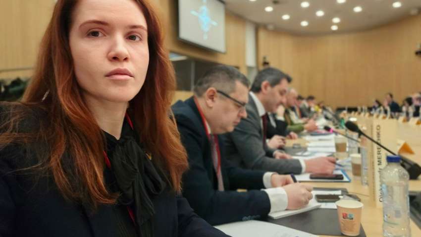 Безуглая: при вежливом диалоге Украины с НАТО – никто не выживет