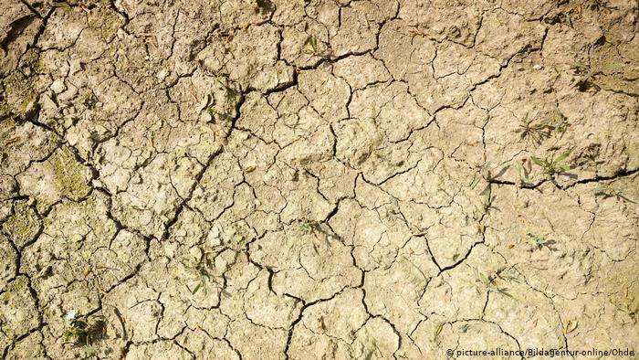 Литва объявила чрезвычайное положение из-за засухи