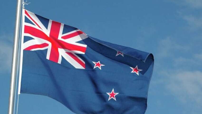 Своє оголене фото показала депутатка з Нової Зеландії  у парламенті: що хотіла цим сказати