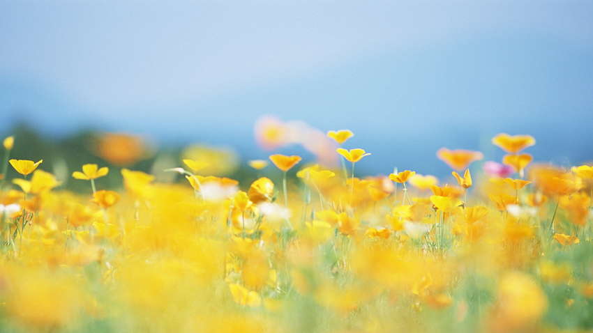 Синоптики рассказали о погоде на четверг