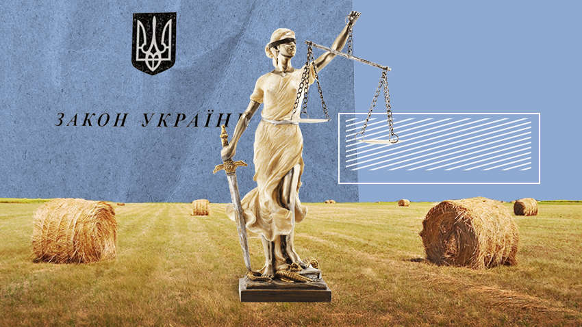 Рынок земли в Украине: как государство регулирует и упрощает земельные отношения