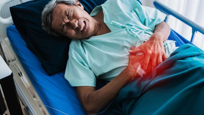 ТОП специй и трав, которые защитят от заболеваний кишечника ТОП специй и трав, которые защитят от заболеваний кишечника