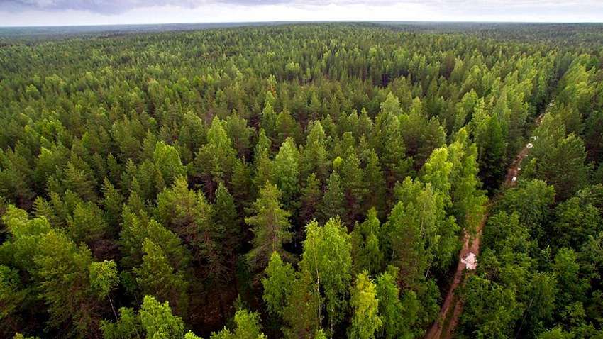 Человечество ведет бессмысленную и саморазрушительную войну с природой, - генсек ООН