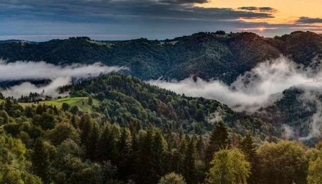 Кабинет министров ограничил проведение рубок на склонах Карпат