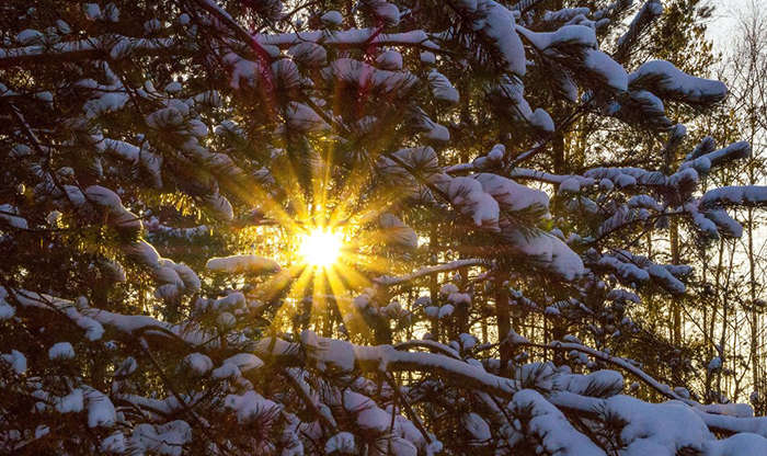 Лютий б'є рекорди: на яку погоду чекати в Україні сьогодні