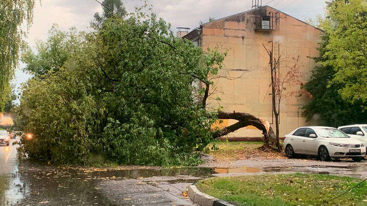 Ливень в Москве 17 сентября: опубликовано видео того, как бушевала стихия в российской столице Ливень в Москве 17 сентября: опубликовано видео того, как бушевала стихия в российской столице