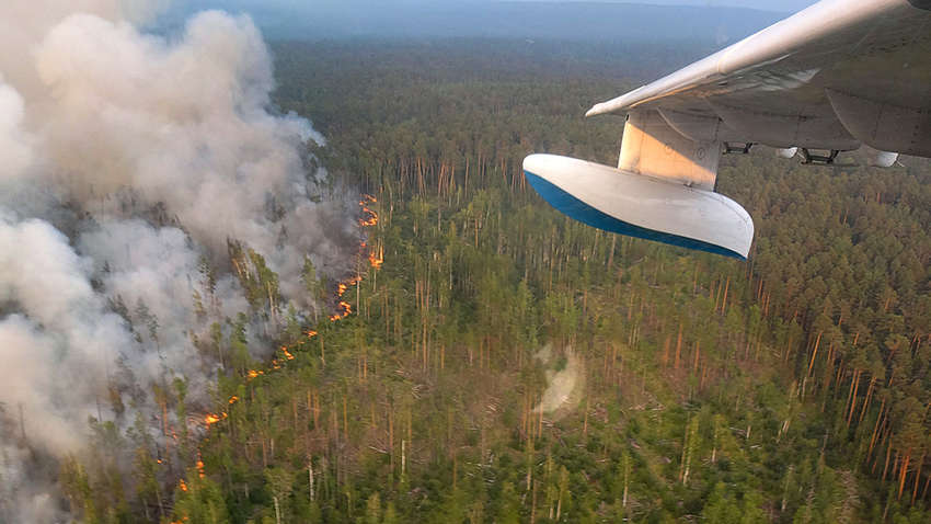 Россию охватили масштабные пожары, а в Белгороде все без изменений – снова хлопки