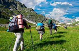 Как пандемия коронавируса отразится на мировом туризме: прогнозы ВТО