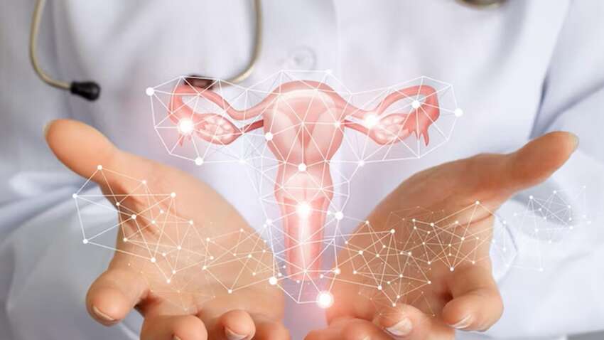 Что нужно есть, чтобы не заболеть раком матки