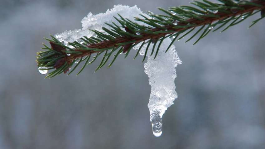 Після +19 градусів почнуться зливи та сніг: коли Україну новий "погодний апокаліпсис"