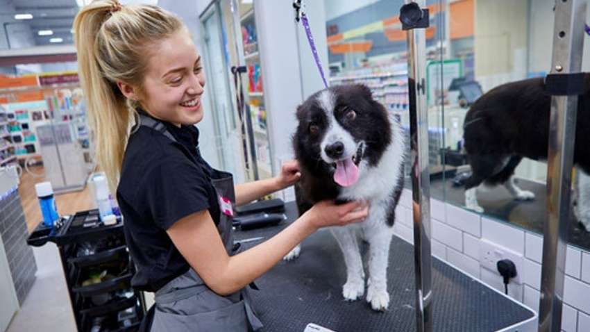 Рост золота, падение доллара и домашние питомцы в выигрыше: деловые итоги недели (Часть 2)