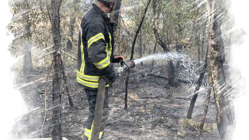 Пожары на Луганщине хотят признать чрезвычайной ситуацией государственного уровня