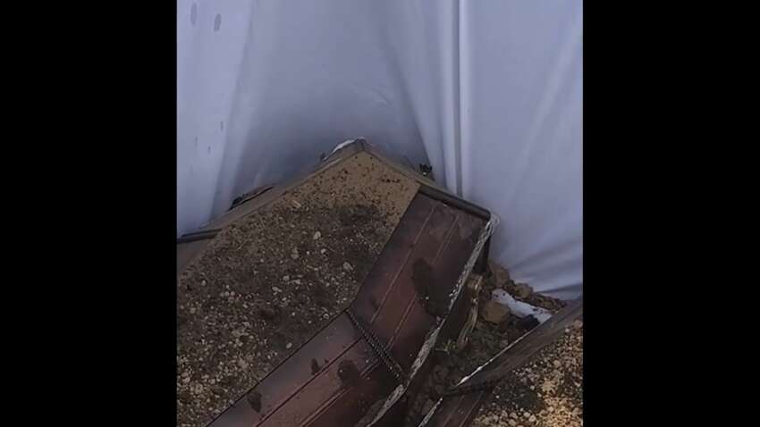 Їх двох поховали в спільній могилі: що сталося з братами