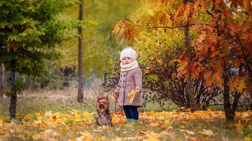 Украина наконец-то дождалась второго "бабьего лета" Украина наконец-то дождалась второго "бабьего лета"