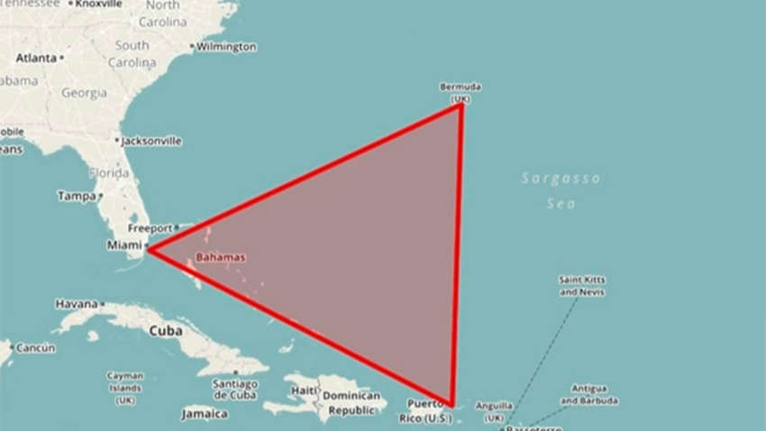 Ученые разгадали тайну Бермудского треугольника - под водой обнаружены "жуткие" существа: фото