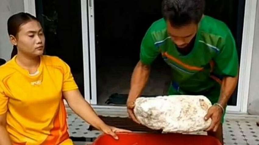 Супруги в Таиланде нашли рвоту кашалота и стали богачами