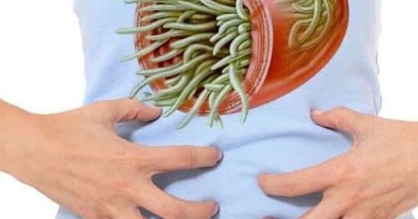 Как распознать заражение паразитами и эффективно с ними бороться Как распознать заражение паразитами и эффективно с ними бороться