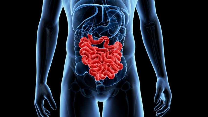 Названы три «золотых» правила оздоровления кишечника