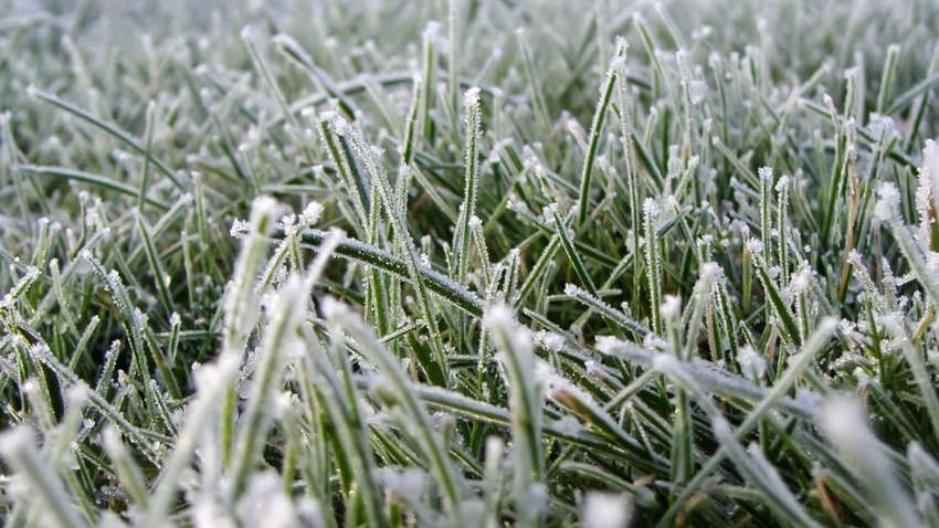 Зима возвращается в Украину: ударят серьезные заморозки и не только Зима возвращается в Украину: ударят серьезные заморозки и не только