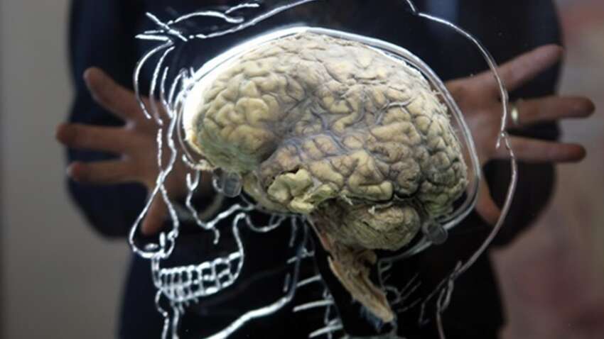 Как омолодить свой мозг на 8 лет: названы 4 привычки, которые сделают с вами чудо  