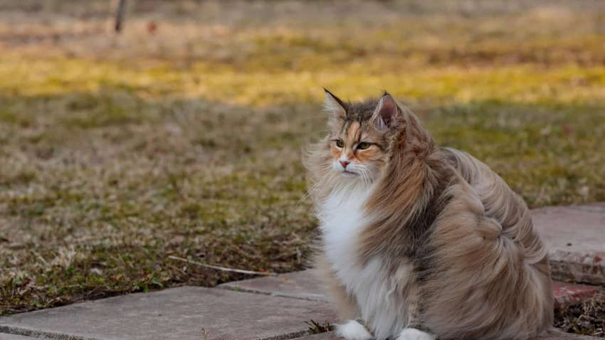 В каких регионах завтра будет тепло: погода в Украине