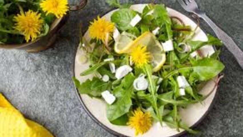 Не викидайте це з городу: бур’яни, які можуть замінити дорогі суперфуди