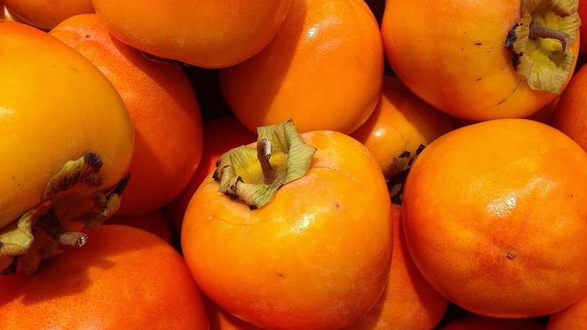 Унікальні властивості хурми, про які знають не всі